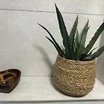 Botanical