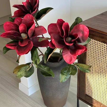 Apartment Botanical *