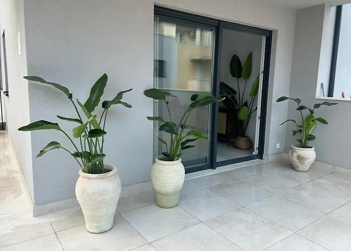 Botanical
